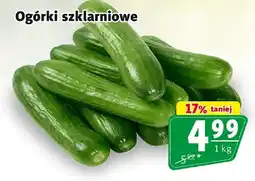 Prim Market Ogórki szklarniowe oferta