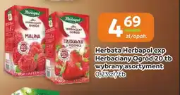 Gama Herbata ekspresowa Herbapol Herbaciany Ogród malina oferta