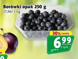Prim Market Borówki oferta
