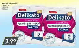 Słoneczko Ręcznik papierowy Delikato Raz Dwa 2-pak oferta