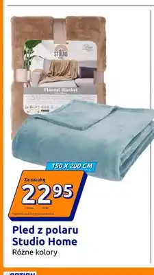 Action Pled z polaru Studio Home oferta