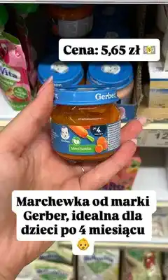 Dino Przecier Gerber Marchewka po 4. miesiącu oferta