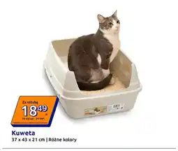 Action Kuweta 37x43x21 cm oferta