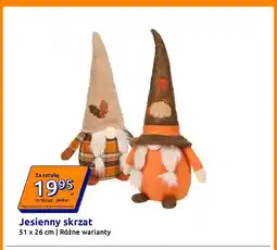 Action Jesienny skrzat 51x26 cm oferta