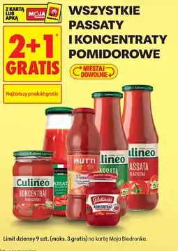 Biedronka Koncentrat Pomidorowy oferta