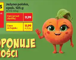 Biedronka Jeżyyna polska oferta