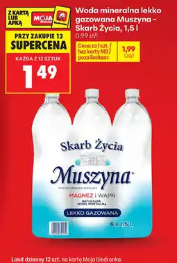 Biedronka Woda mineralna lekko gazowana Muszyna - Skarb Życia oferta