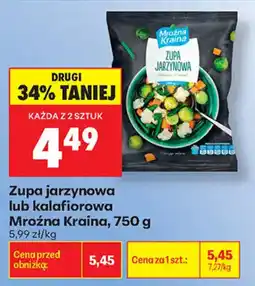 Biedronka Zupa jarzynowa Mroźna Kraina oferta