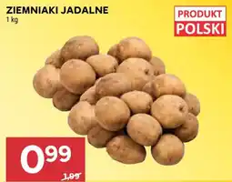 Stokrotka Ziemniaki Jadlane oferta