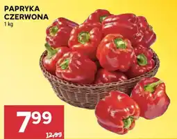 Stokrotka Papryka Czerwona oferta