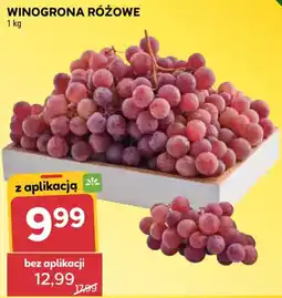 Stokrotka Winogrona Różowe oferta