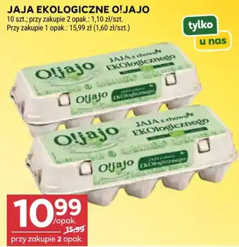 Stokrotka Jaja Ekologiczne O!jajo oferta