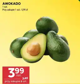Stokrotka Awokado oferta