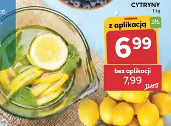 Stokrotka Cytryny oferta