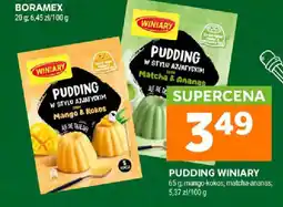 Stokrotka Pudding Winiary oferta