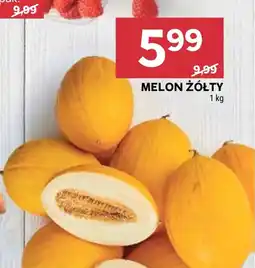 Stokrotka Market Melon Żółty oferta