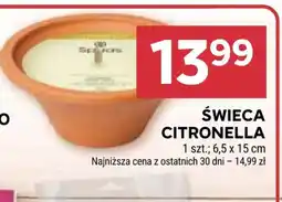 Stokrotka Market Świeca Citronella oferta