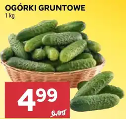 Stokrotka Market Ogórki Gruntowe oferta
