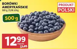 Stokrotka Market BORÓWKI AMERYKAŃSKIE oferta