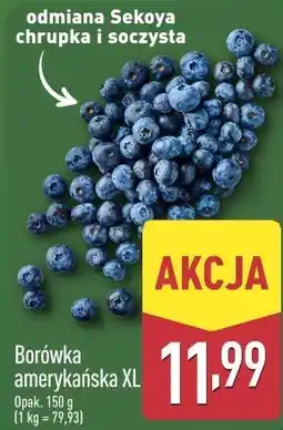 ALDI Borówka amerykańska XL oferta