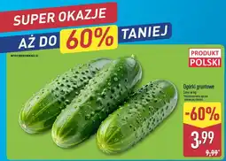 ALDI Ogórki gruntowe oferta