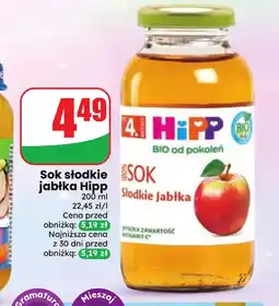 Dino Sok Hipp oferta