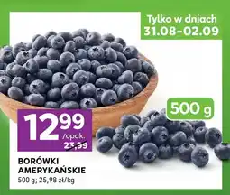 Stokrotka Borówki amerykańskie oferta