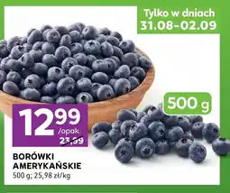 Stokrotka Express Borówki amerykańskie oferta