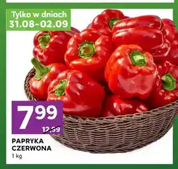 Stokrotka Papryka czerwona oferta
