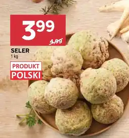 Stokrotka Seler Polski oferta