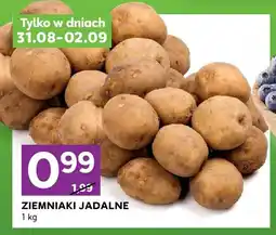 Stokrotka Ziemniaki jadalne oferta