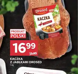 Stokrotka Kaczka Drosed oferta