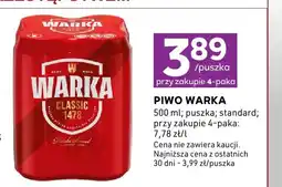 Stokrotka Piwo Warka Classic oferta
