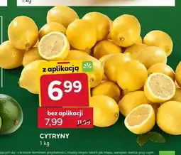 Stokrotka Cytryny oferta