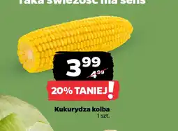 Netto Kukurydza kolba oferta