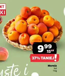 Netto Morele oferta
