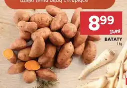 Stokrotka Bataty oferta