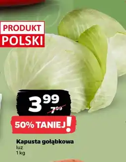 Netto Kapusta gołąbkowa oferta