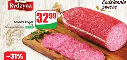 Dino Salami Rydzyna oferta