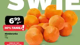Netto Mandarynki oferta