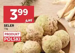 Stokrotka Seler polski oferta