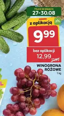 Stokrotka Winogrona różowe oferta