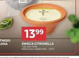Stokrotka Świeca Citronella oferta