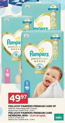 Stokrotka Pieluchy Pampers Premium Care VP oferta