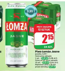 Dino Piwo Łomża oferta
