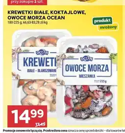 Stokrotka Krewetki białe Ocean oferta