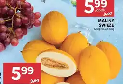 Stokrotka Melon żółty oferta