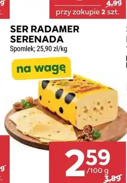 Stokrotka Ser Radamer Serenada oferta