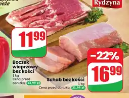 Dino Schab bez kości Rydzyna oferta