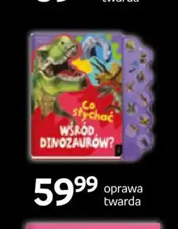 Empik Książka Co słychać wśród dinozaurów? Wilga oferta